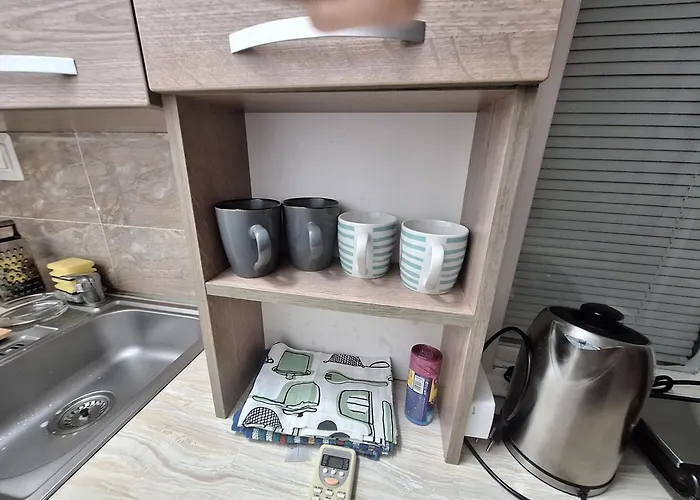 Faleza Nord Reyna アパート *